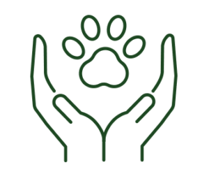 pet-general-medicine