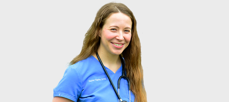 Meet Dr. Shelby Cipolla